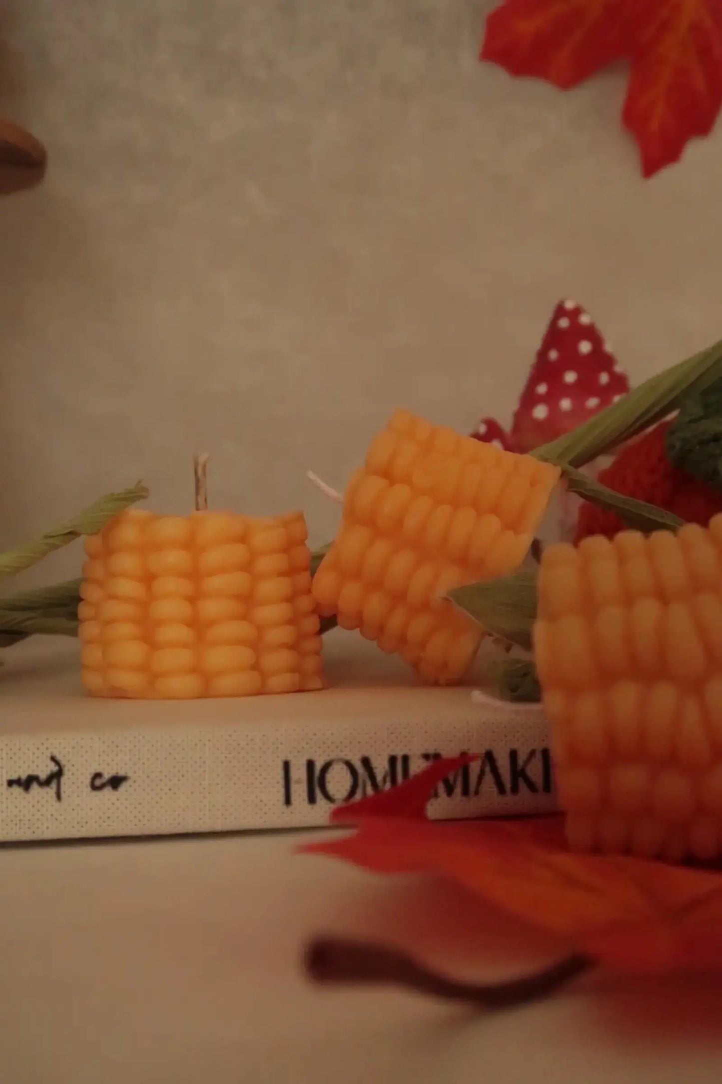 Kukorica szójaviasz gyertya dans le jardin.
