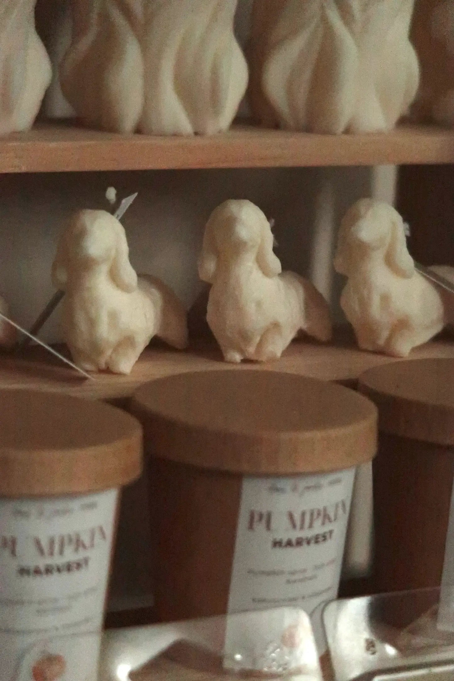 Tacskó alakú gyertya dans le jardin.