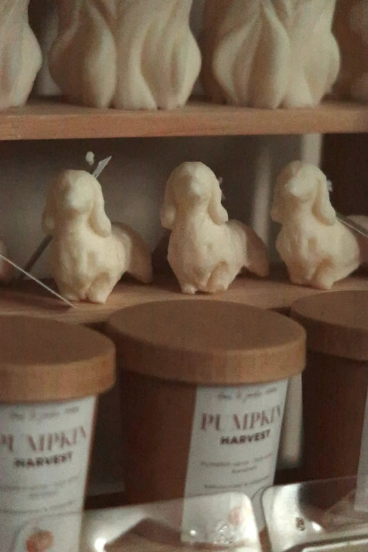 Tacskó alakú gyertya dans le jardin.