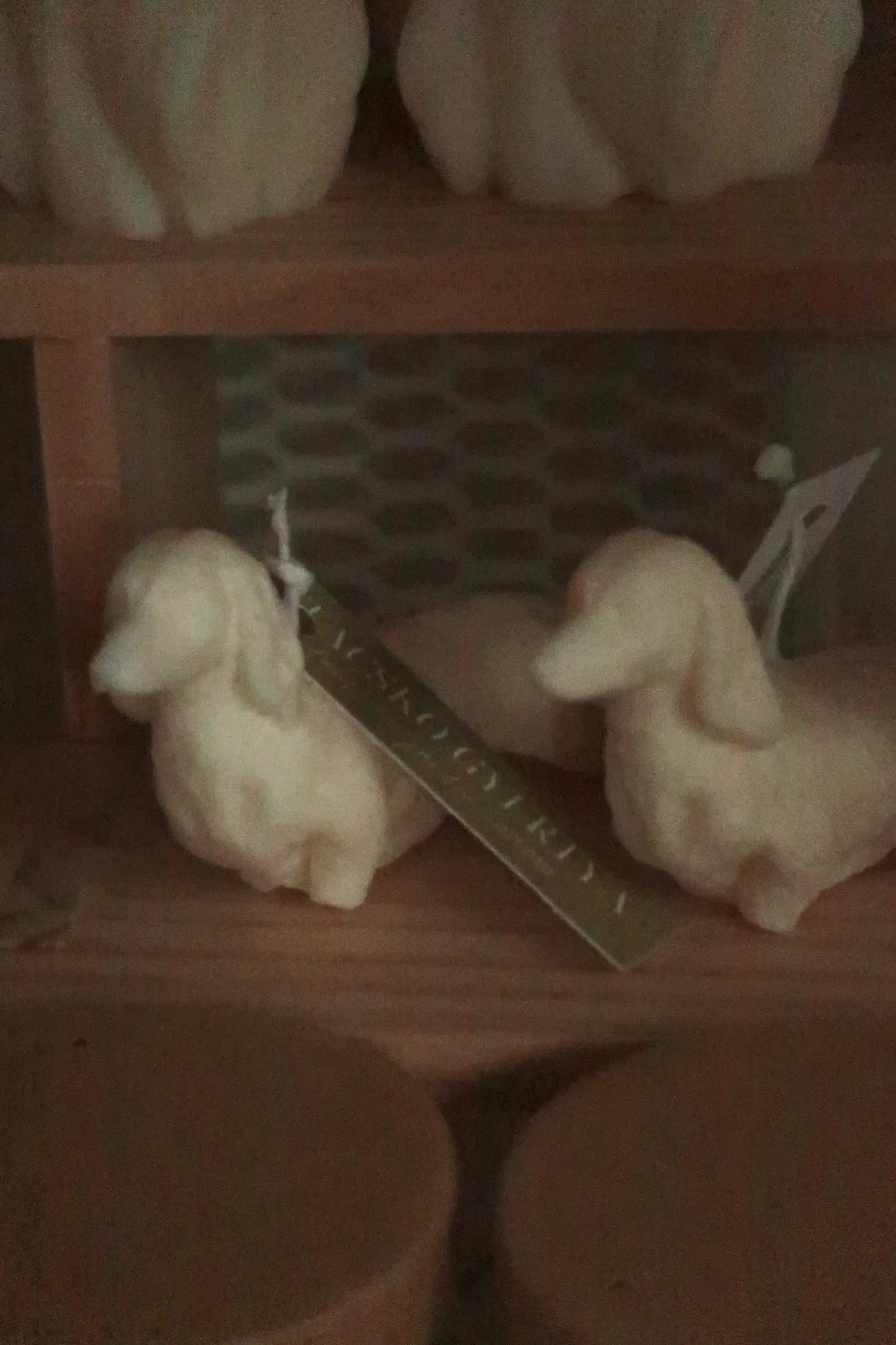 Tacskó alakú gyertya dans le jardin.