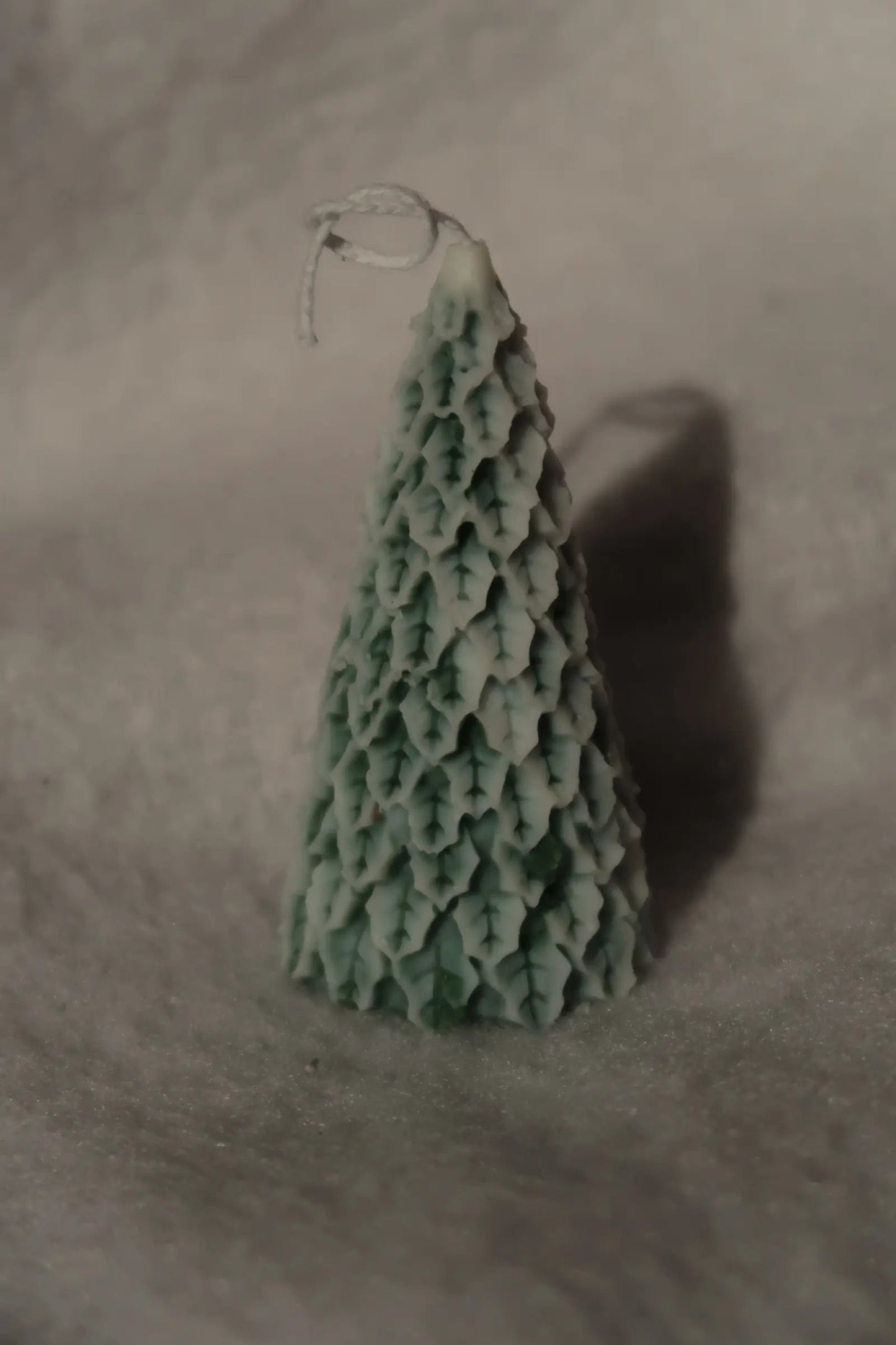 Havas fenyő gyertya dans le jardin.