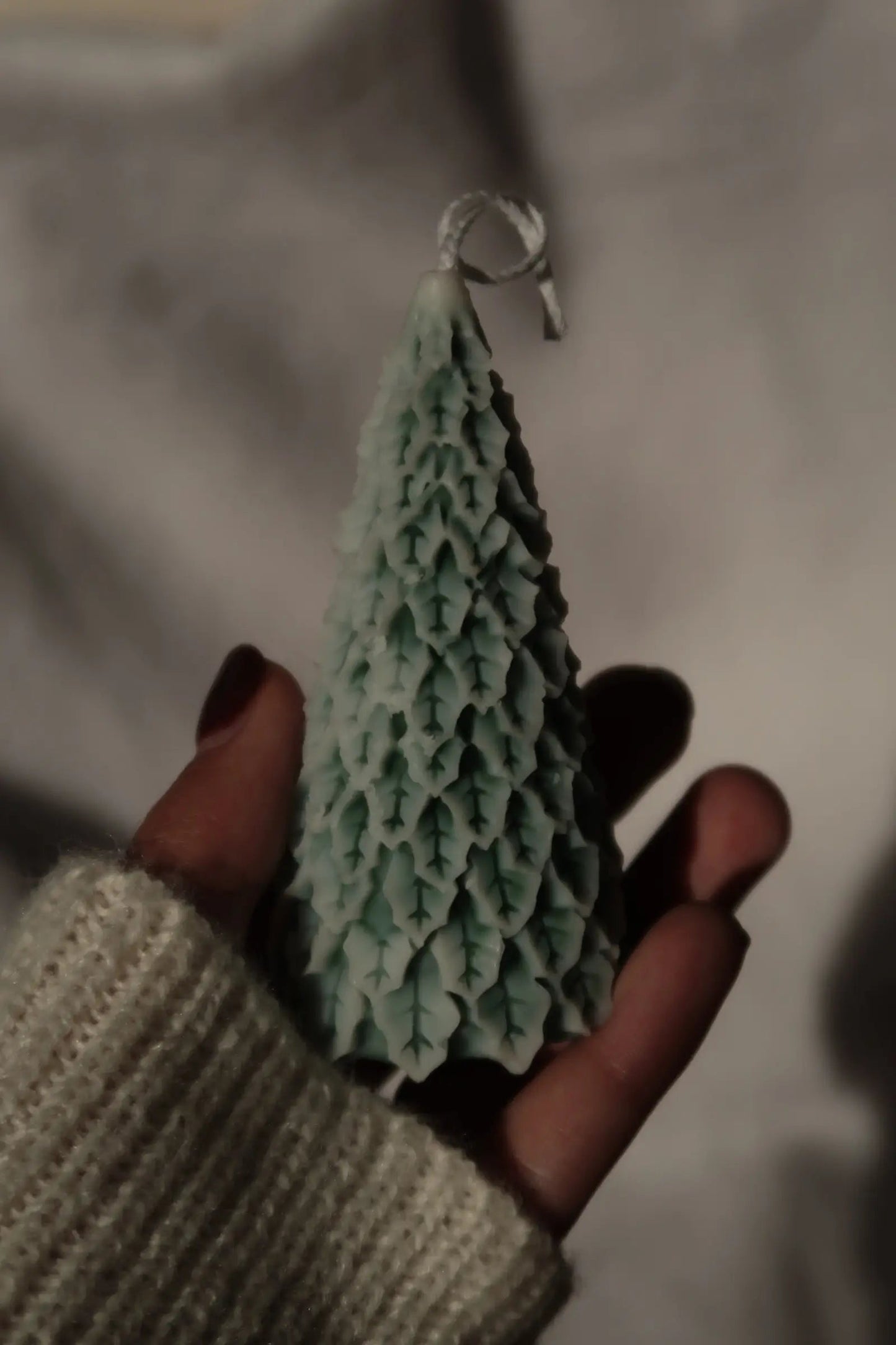 Havas fenyő gyertya dans le jardin.