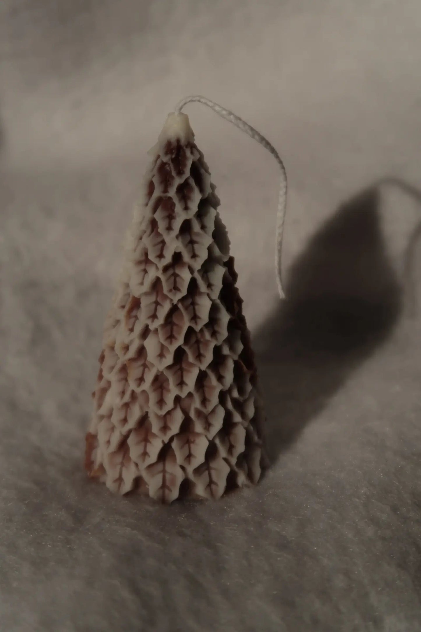 Havas fenyő gyertya dans le jardin.