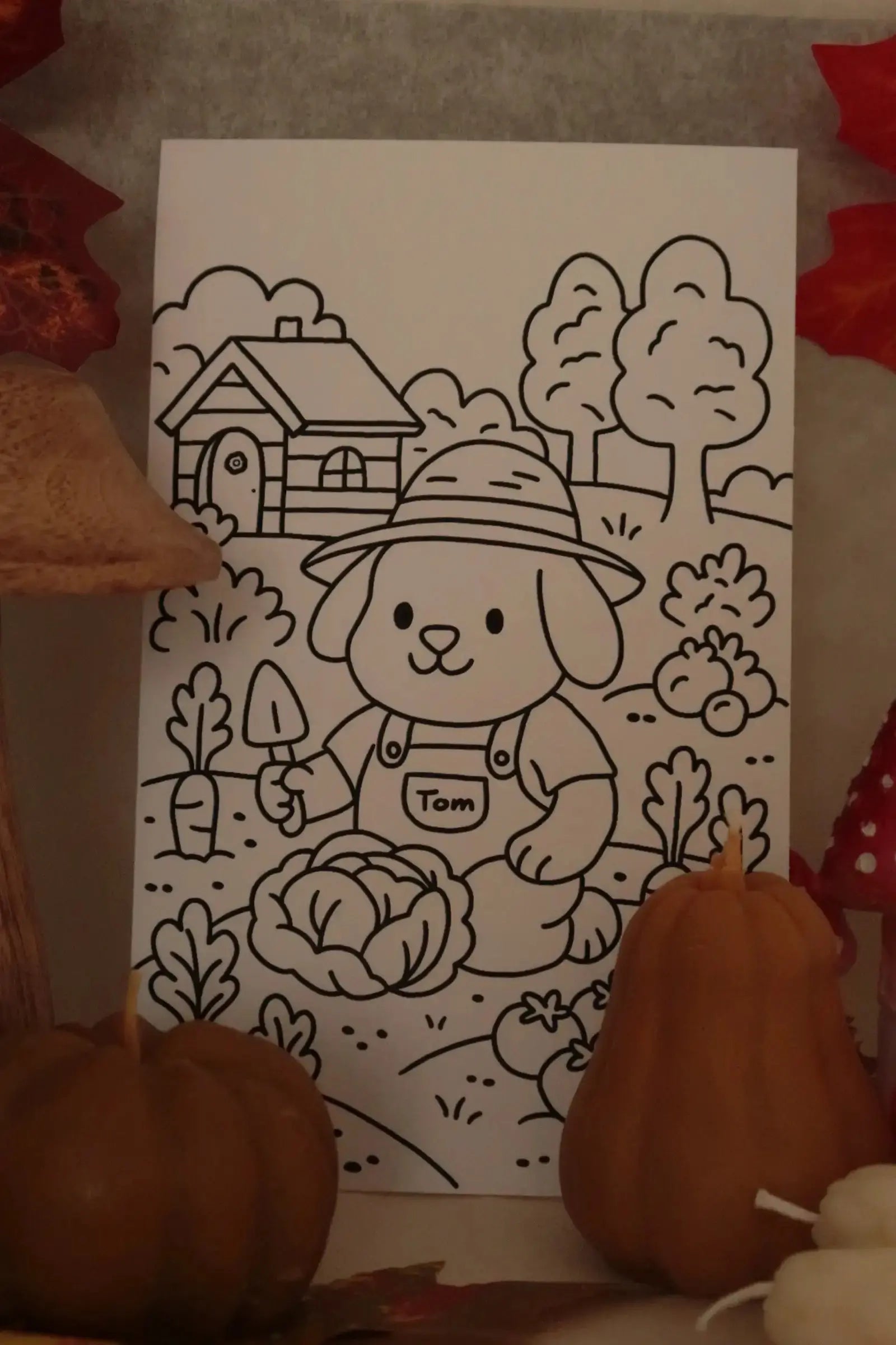 Színező lapok - A5 dans le jardin.