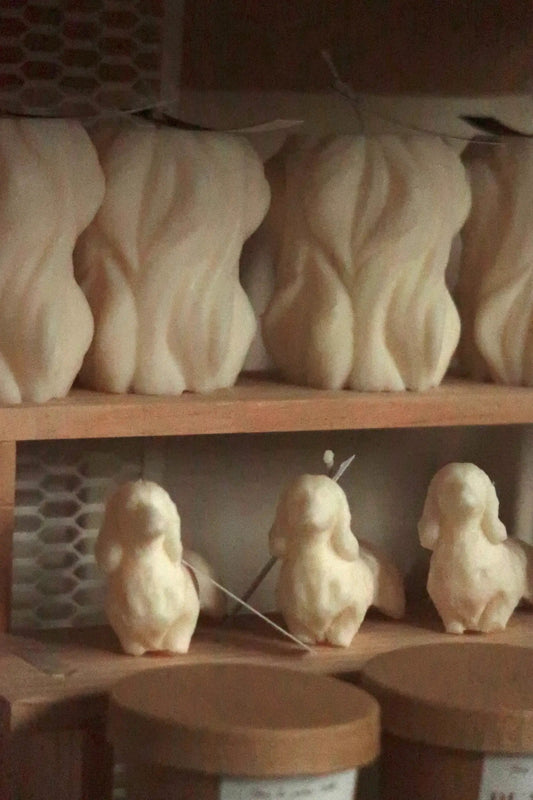 Tacskó alakú gyertya dans le jardin.