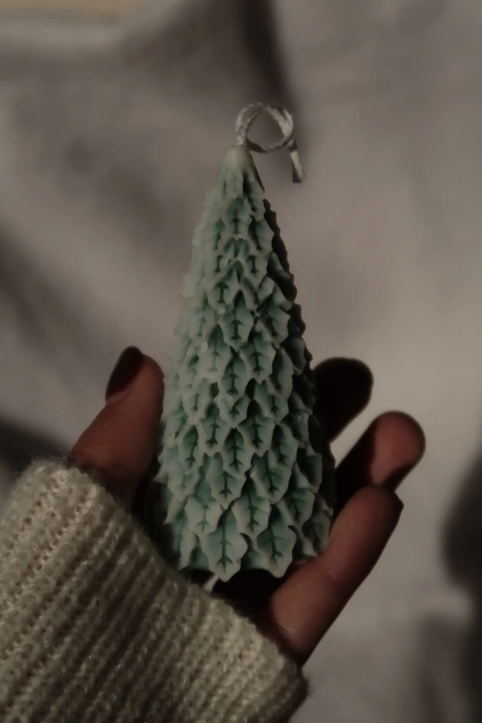 Havas fenyő gyertya dans le jardin.